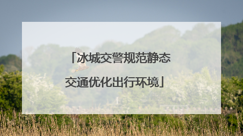 冰城交警规范静态交通优化出行环境