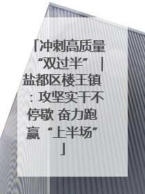 冲刺高质量“双过半”｜盐都区楼王镇：攻坚实干不停歇 奋力跑赢“上半场”