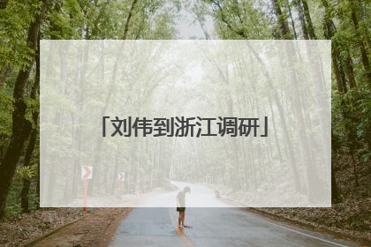 刘伟到浙江调研