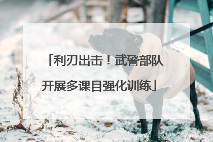 利刃出击！武警部队开展多课目强化训练