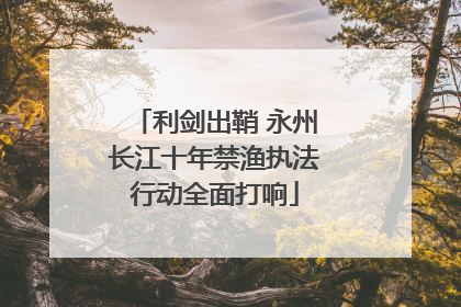 利剑出鞘 永州长江十年禁渔执法行动全面打响
