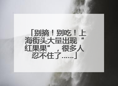 别摘！别吃！上海街头大量出现“红果果”，很多人忍不住了……