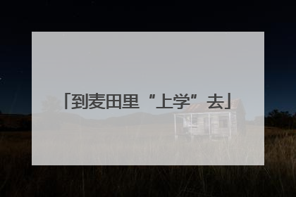 到麦田里“上学”去
