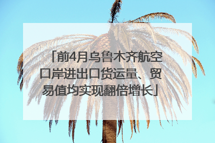 前4月乌鲁木齐航空口岸进出口货运量、贸易值均实现翻倍增长