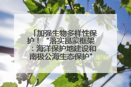 加强生物多样性保护！“落实昆蒙框架：海洋保护地建设和南极公海生态保护”主题论坛将举办