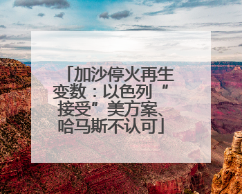 加沙停火再生变数：以色列“接受”美方案、哈马斯不认可