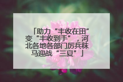 助力“丰收在田”变“丰收到手”，河北各地各部门厉兵秣马迎战“三夏”