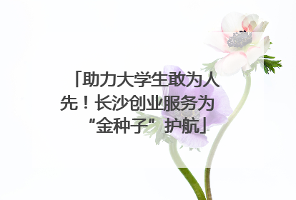 助力大学生敢为人先！长沙创业服务为“金种子”护航