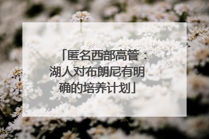 匿名西部高管：湖人对布朗尼有明确的培养计划