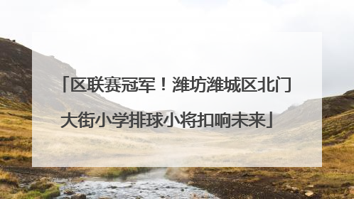 区联赛冠军！潍坊潍城区北门大街小学排球小将扣响未来