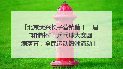 北京大兴长子营镇第十一届 “和谐杯” 乒乓球大赛圆满落幕，全民运动热潮涌动