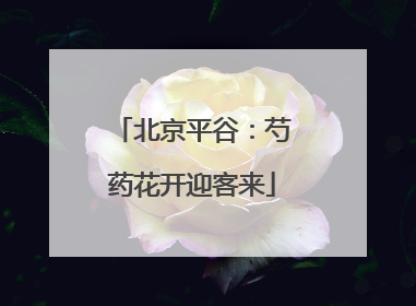 北京平谷：芍药花开迎客来