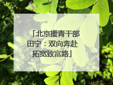 北京援青干部田宁：双向奔赴拓宽致富路