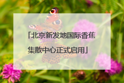 北京新发地国际香蕉集散中心正式启用