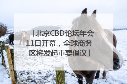 北京CBD论坛年会11日开幕，全球商务区将发起重要倡议