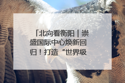 北向看衡阳｜崇盛国际中心焕新回归！打造“世界级美食主题公园”