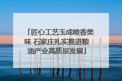 匠心工艺玉成喷香美味 石家庄扎实推进粮油产业高质量发展