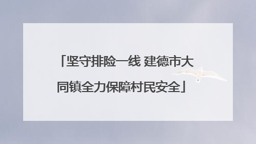 坚守排险一线 建德市大同镇全力保障村民安全