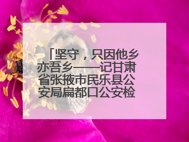 坚守，只因他乡亦吾乡——记甘肃省张掖市民乐县公安局扁都口公安检查站民警黄启元