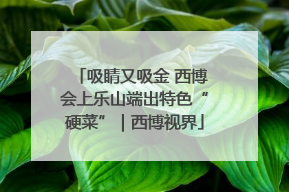 吸睛又吸金 西博会上乐山端出特色“硬菜”｜西博视界