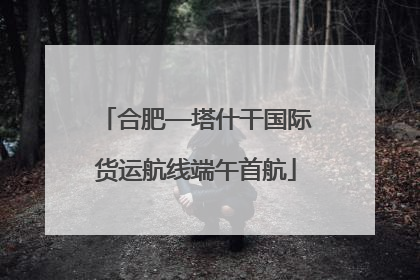 合肥—塔什干国际货运航线端午首航