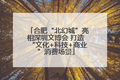 合肥“北幻城”亮相深圳文博会 打造“文化+科技+商业”消费场景