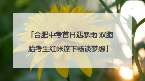 合肥中考首日遇暴雨 双胞胎考生红帐篷下畅谈梦想