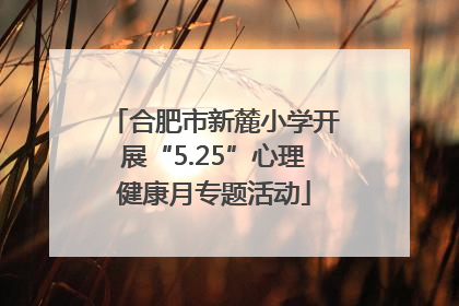 合肥市新麓小学开展“5.25”心理健康月专题活动