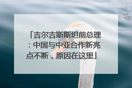 吉尔吉斯斯坦前总理：中国与中亚合作新亮点不断，原因在这里
