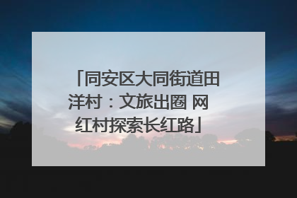 同安区大同街道田洋村：文旅出圈 网红村探索长红路