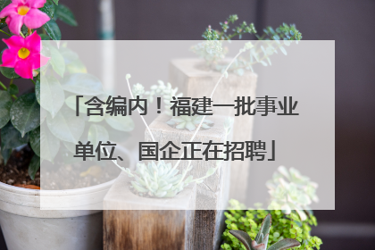 含编内！福建一批事业单位、国企正在招聘