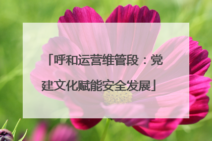 呼和运营维管段：党建文化赋能安全发展