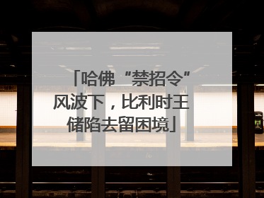 哈佛“禁招令”风波下，比利时王储陷去留困境