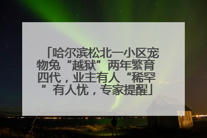 哈尔滨松北一小区宠物兔“越狱”两年繁育四代，业主有人“稀罕”有人忧，专家提醒