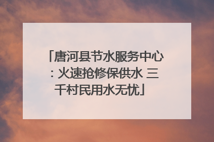 唐河县节水服务中心：火速抢修保供水 三千村民用水无忧