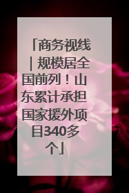 商务视线｜规模居全国前列！山东累计承担国家援外项目340多个