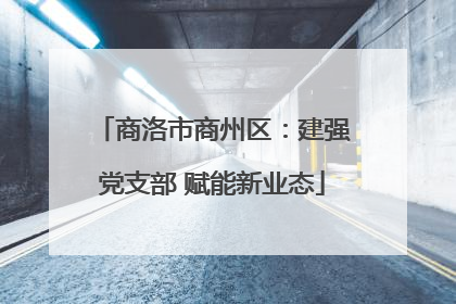 商洛市商州区：建强党支部 赋能新业态
