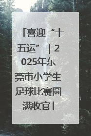 喜迎“十五运”｜2025年东莞市小学生足球比赛圆满收官