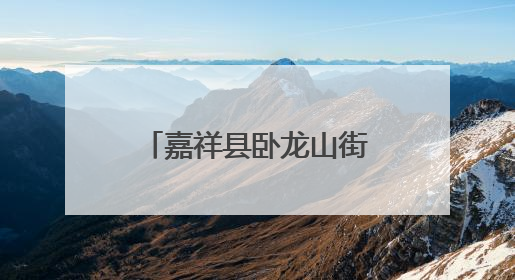 嘉祥县卧龙山街道开展“爱心粽香到万家 暖心端午送安康” “五为”志愿服务活动