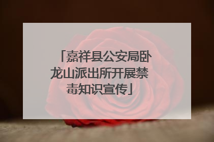 嘉祥县公安局卧龙山派出所开展禁毒知识宣传