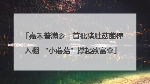 嘉禾普满乡：首批猪肚菇菌棒入棚 “小蘑菇”撑起致富伞