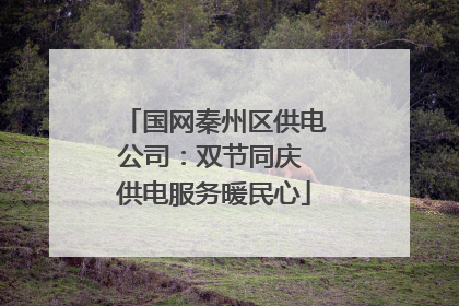 国网秦州区供电公司：双节同庆 供电服务暖民心