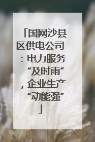 国网沙县区供电公司：电力服务“及时雨”，企业生产“动能强”