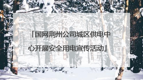 国网荆州公司城区供电中心开展安全用电宣传活动