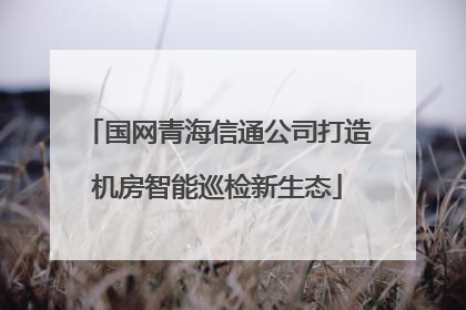 国网青海信通公司打造机房智能巡检新生态