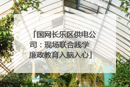 国网长乐区供电公司：现场联合践学 廉政教育入脑入心