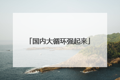 国内大循环强起来