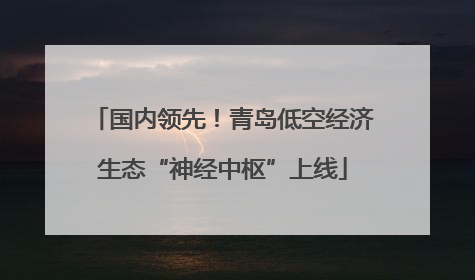国内领先！青岛低空经济生态“神经中枢”上线