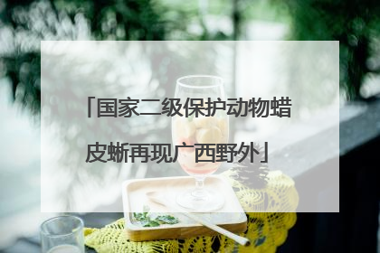 国家二级保护动物蜡皮蜥再现广西野外