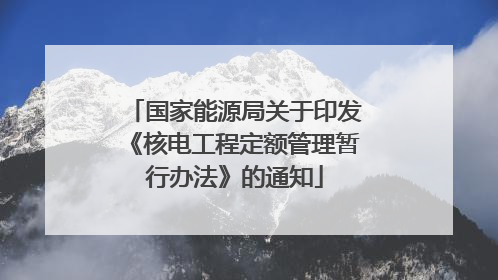 国家能源局关于印发《核电工程定额管理暂行办法》的通知